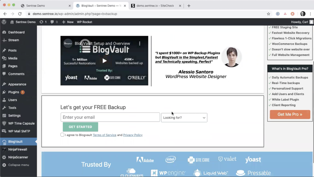 Screen capture of blogvault activation screen